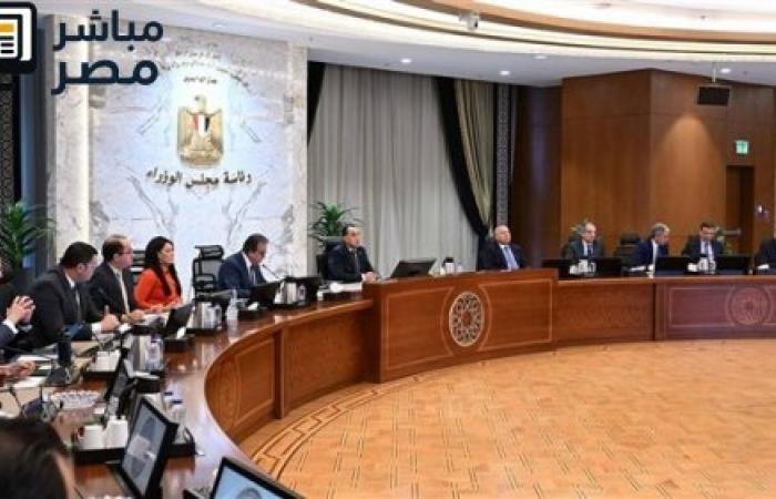 الحكومة: تحويلات المصريين بالخارج تسجل 34 مليار دولار خلال 10 أشهر