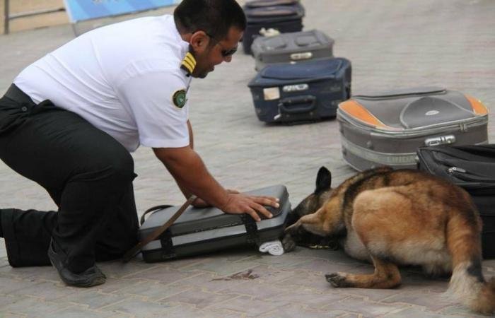 مباشر السعودية | 1078 عملية ضبط في المنافذ الجمركية خلال أسبوع.. أبرزها الأسلحة والمخدرات