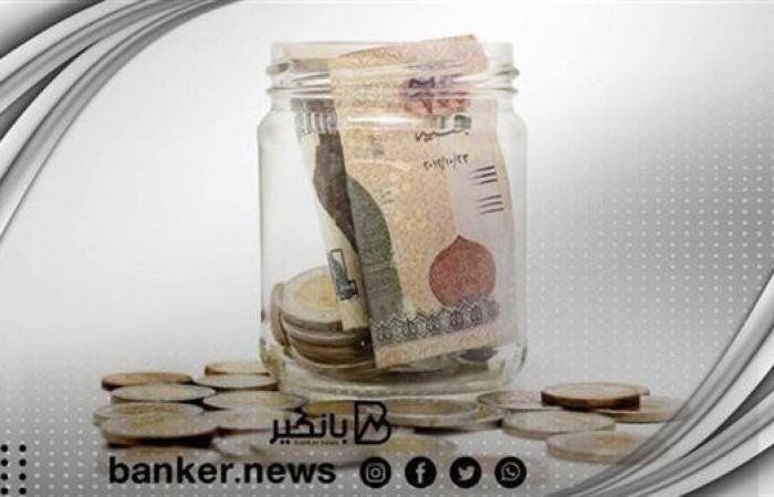 اقتصاد مصر | شهادات ادخار بعوائد تصل إلى 22%.. تفاصيل عروض البنك الأهلي وبنك مصر - ايجبت نيوز