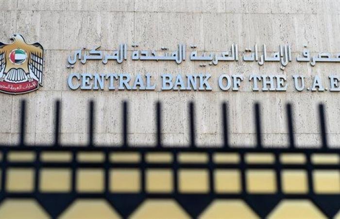 اقتصاد مصر | بيان مصري إماراتي بشأن بنك مصر.. الفروع تواصل أعمالها بصورة طبيعية - ايجبت نيوز
