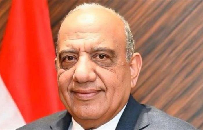أخبار مصر | محمود عصمت: الكهرباء أصبحت متاحة لكافة مشروعات التنمية في سيناء - ايجبت نيوز