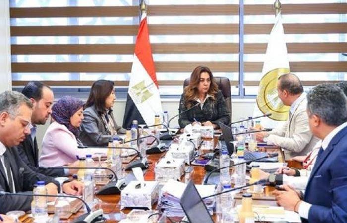 أخبار مصر | 466 مليون جنيه و5 آلاف متدرب.. تفاصيل خطة دعم التنمية المحلية في 4 محافظات بالصعيد - ايجبت نيوز