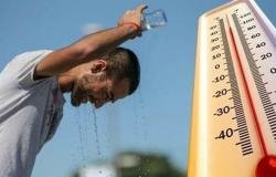 اقتصاد مصر | «الأرصاد» تُحذر من الشبورة.. ماذا عن تفاصيل الساعات المقبلة؟! - ايجبت نيوز